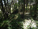 常陸 長山城の写真