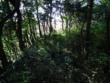 常陸 長山城の写真