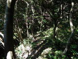 常陸 長山城の写真