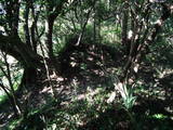 常陸 長山城の写真