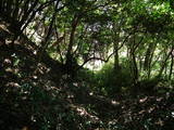 常陸 長山城の写真