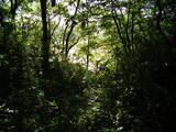 常陸 長山城の写真