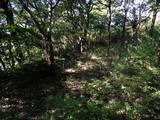 常陸 長山城の写真