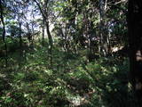 常陸 長山城の写真