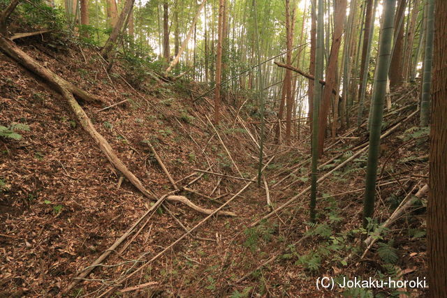 常陸 中居城の写真