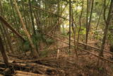 常陸 中居城の写真