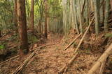 常陸 中居城の写真