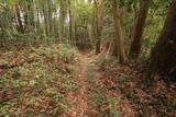 常陸 中居城の写真