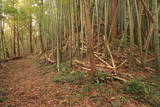 常陸 中居城の写真