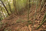 常陸 中居城の写真