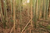 常陸 中居城の写真