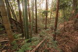 常陸 中居城の写真