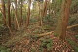 常陸 中居城の写真