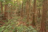 常陸 中居城の写真