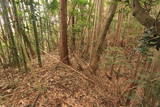 常陸 中居城の写真