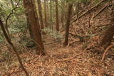 常陸 中居城の写真