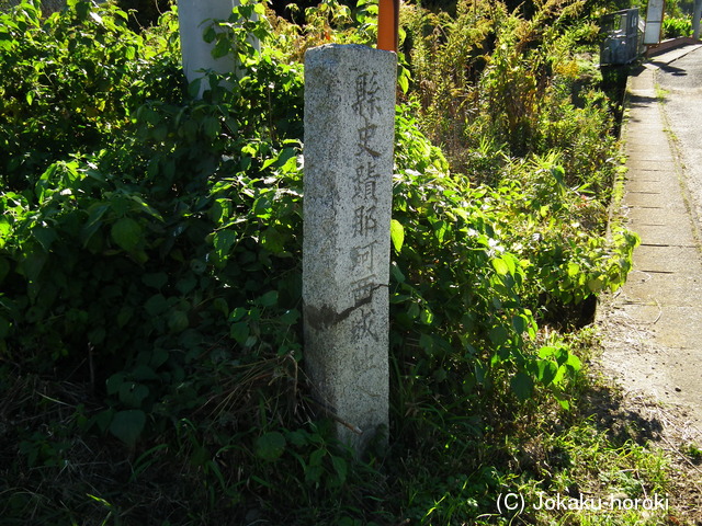 常陸 那珂西城の写真