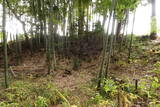 常陸 行方城の写真