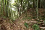 常陸 行方城の写真