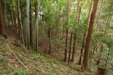 常陸 行方城の写真