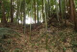 常陸 行方城の写真