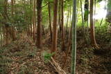 常陸 行方城の写真