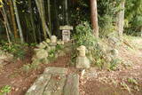 常陸 行方城の写真