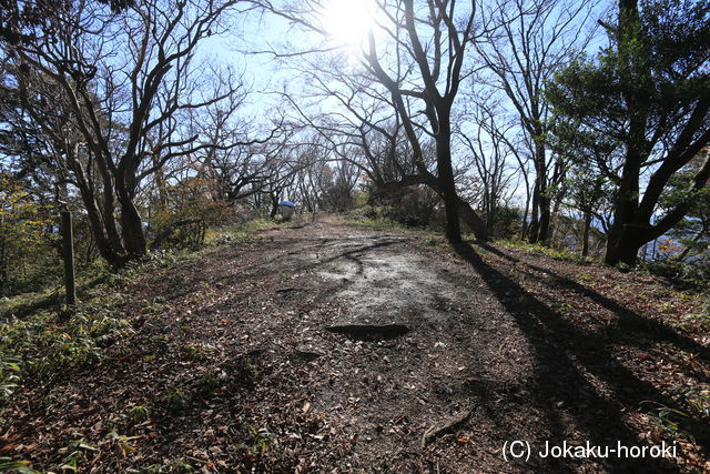 常陸 難台山城(山頂部)の写真