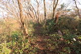 常陸 難台山城(山頂部)の写真