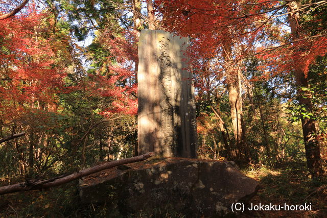 常陸 難台山城(観音平)の写真