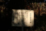 常陸 難台山城(観音平)の写真