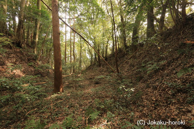 常陸 野友城の写真