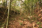 常陸 野友城の写真
