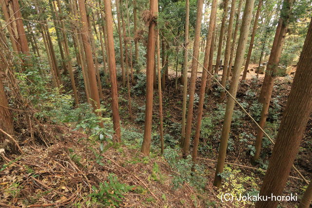 常陸 野口城の写真