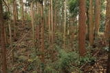 常陸 野口城の写真