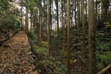 常陸 野口城の写真