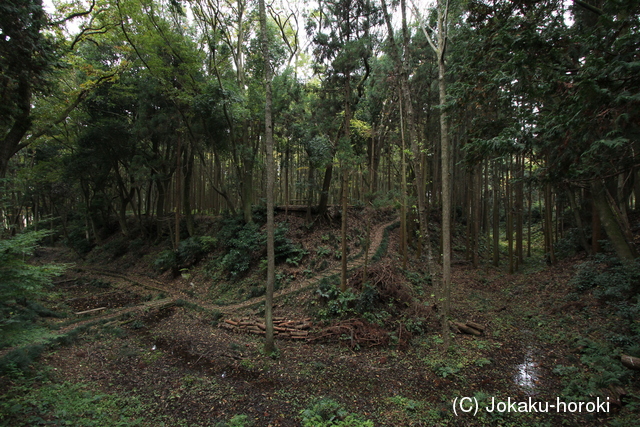 常陸 額田城の写真