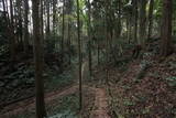 常陸 額田城の写真