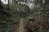 常陸 額田城の写真