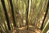 常陸 小幡城の写真