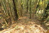 常陸 小幡城の写真