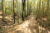 常陸 小幡城の写真