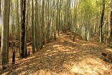 常陸 小幡城の写真