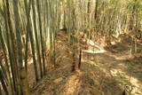 常陸 小幡城の写真