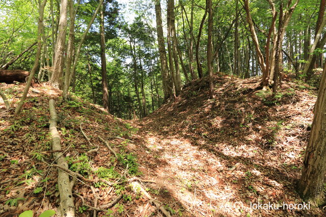 常陸 小田野城の写真