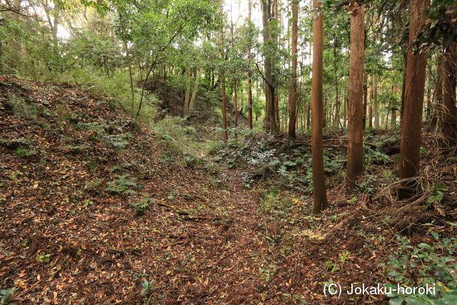 常陸 小栗城の写真