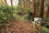 常陸 小栗城の写真