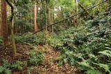 常陸 小栗城の写真