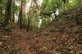 常陸 小栗城の写真