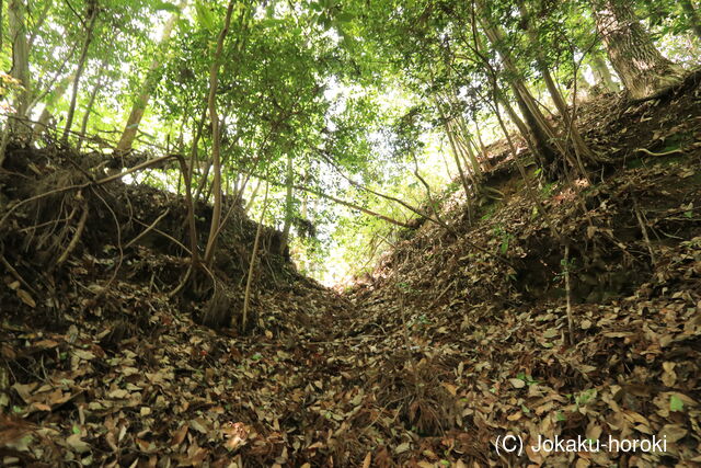 常陸 大岩城の写真